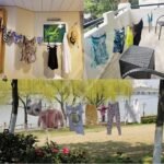 Corde à linge élastique avec de 2 crochets et 12 pinces – Image 4