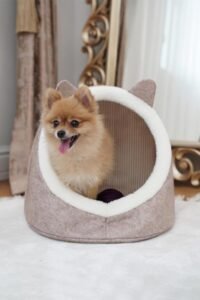 Niche de chat ou chien... – Image 3